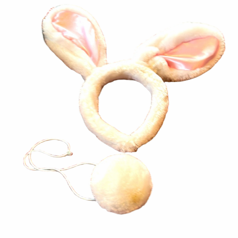 Bunny costume
